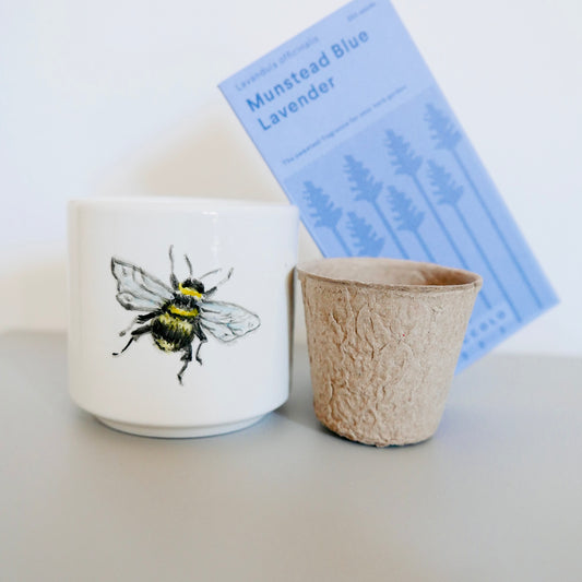 Kit Diffondi Bellezza ⭐️