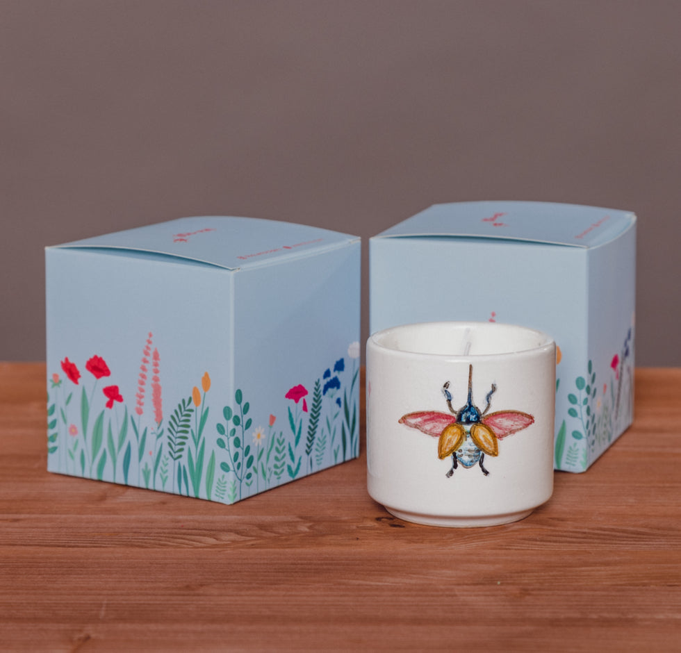 Set Essenziale: Brainbow+ Fiammetta (candela natalizia)